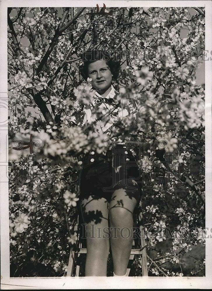 1938 Press Photo Kay Higgins, USC Coed poses amid the almond blossoms on a tree-Historic Images