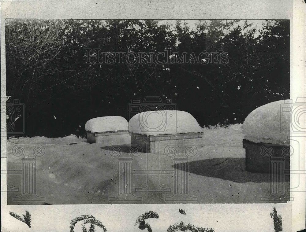 1928 Bee Hives in Winter  - Historic Images