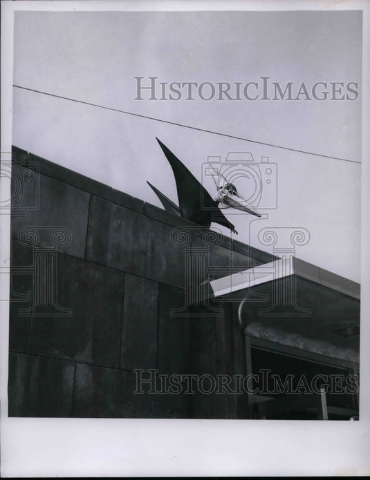 1957 Cleveland Museum of Natural History  - Historic Images