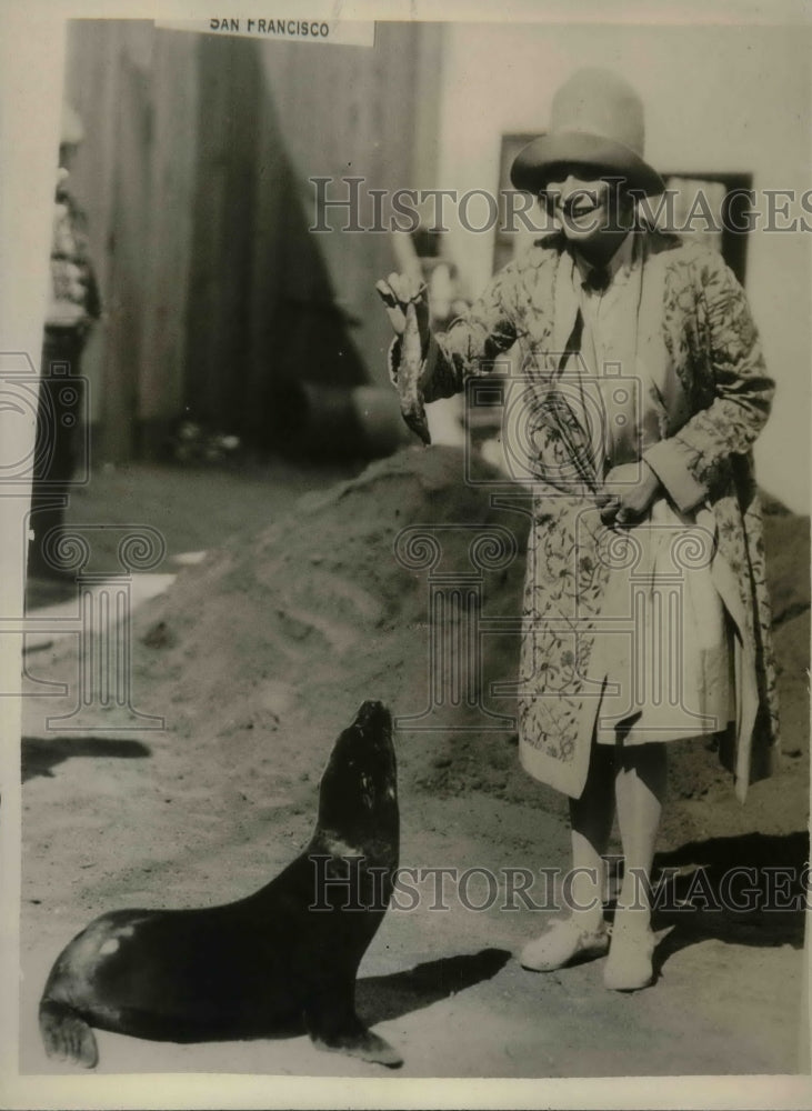 1929 Lion Seal teach a tricks.  - Historic Images