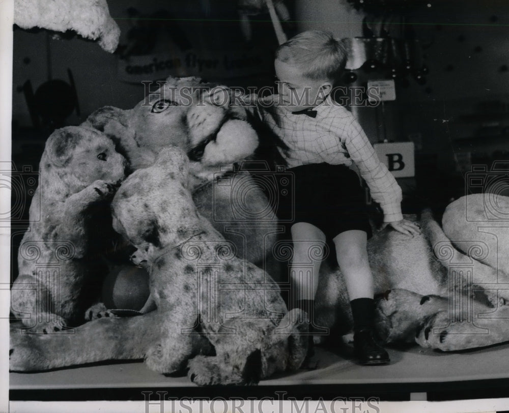 David Boyer Plays With Mammoth Stuffed Lion Priced At $1000 - Historic Images