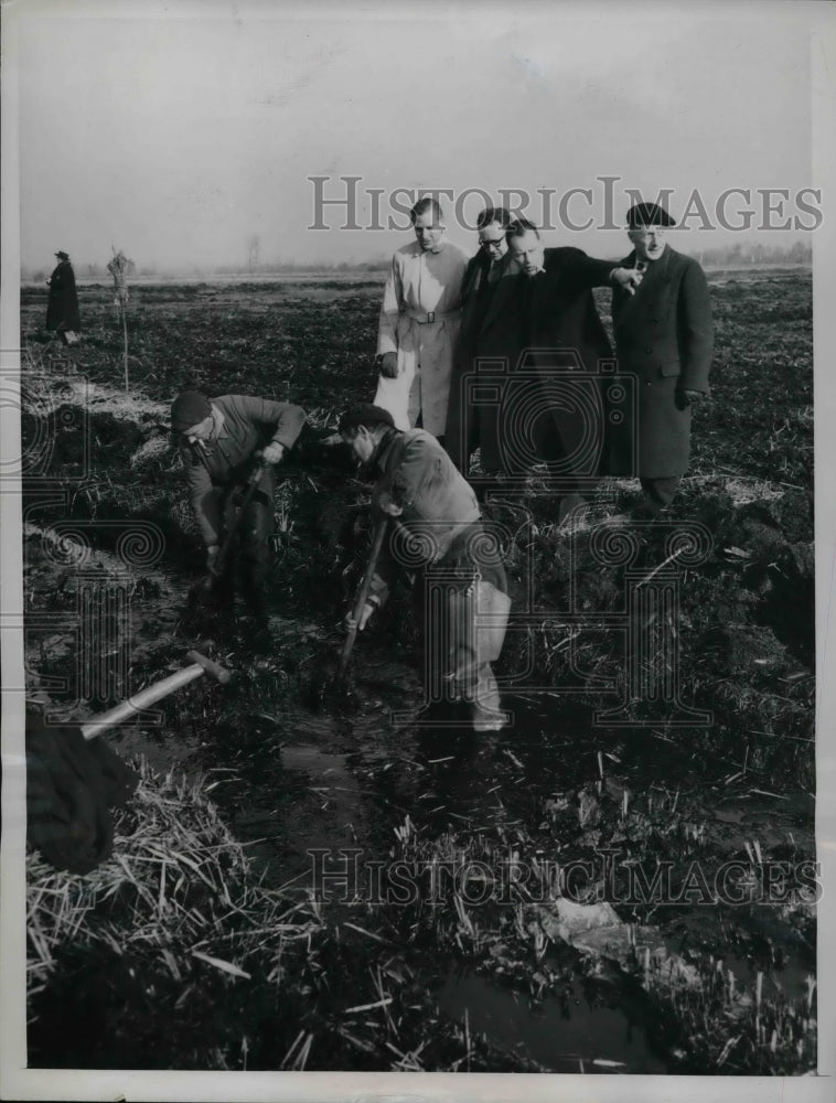1950 Workers Begin On Marais Vernier Swamp Reclamation In Normandy - Historic Images