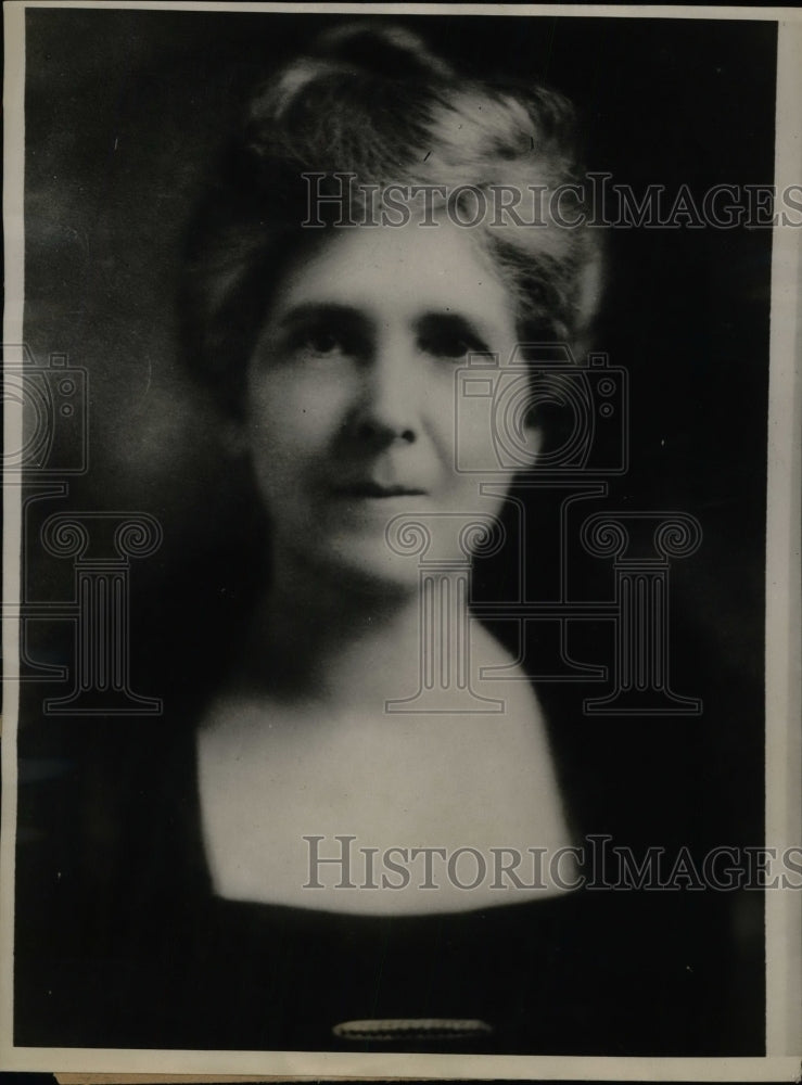 1924 Mrs. John D. McNael Democratic National Committeewoman - Historic Images
