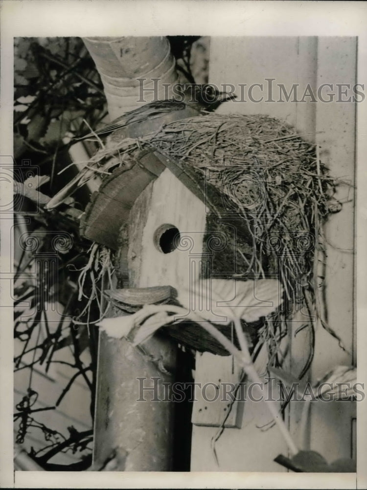 1944 Press Photo Jenny Wrent Birdhouse - nea74690 - Historic Images