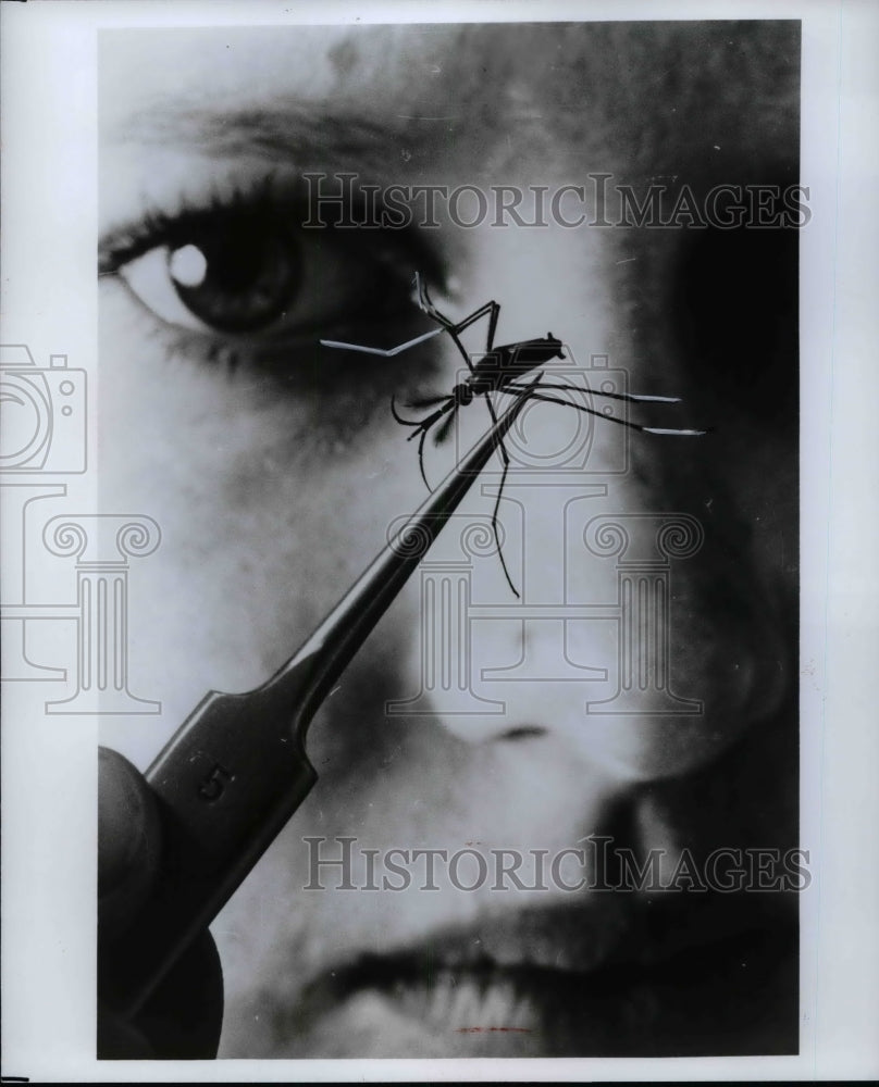 A person looking at a bug  - Historic Images