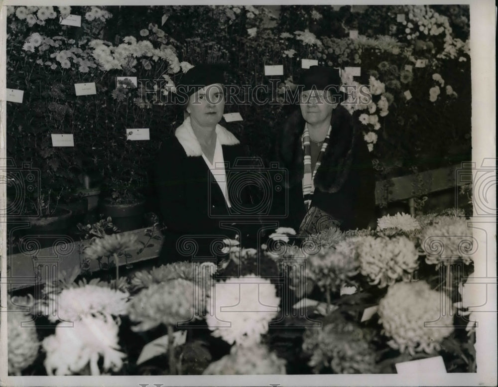 1933 Press Photo Mrs. Henry Wallace, wife of Secretary of Agriculture - Historic Images