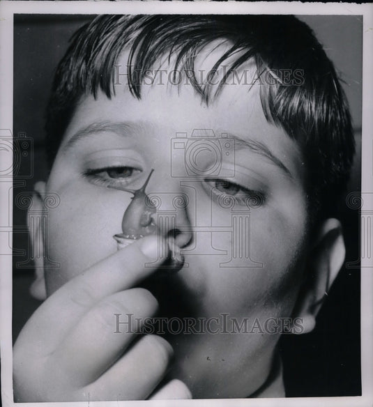 1954 Press Photo Michael Kane of Brooklyn, New York and Pet Snail - nea75501 - Historic Images