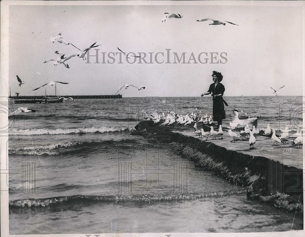 1936 Australian With Gulls at St. Kilda, Melbourne  - Historic Images