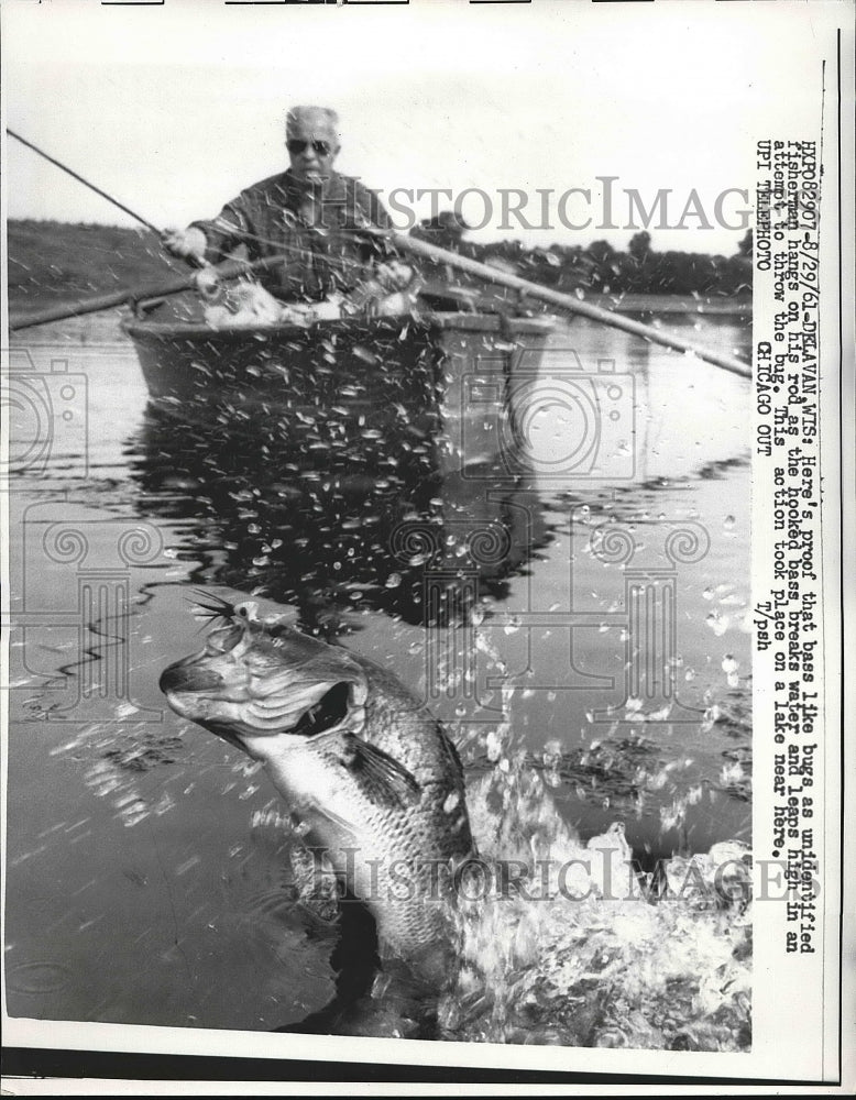 1961 Press Photo Delavan, Wis.fisherman hooking a bass - nea76645 - Historic Images