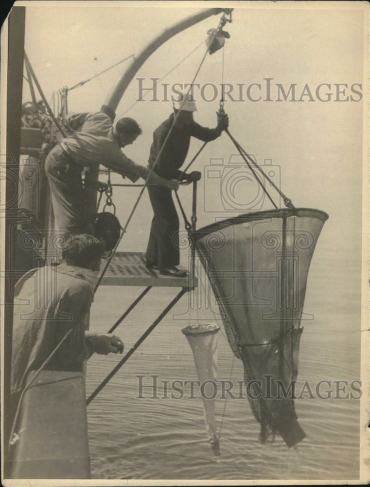 1923 Making a fish net haul  - Historic Images