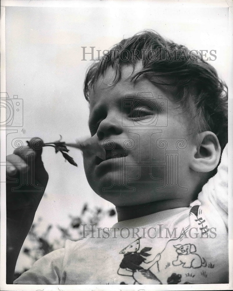 1956 Child Eats Flower From Garden Of The Blind  - Historic Images