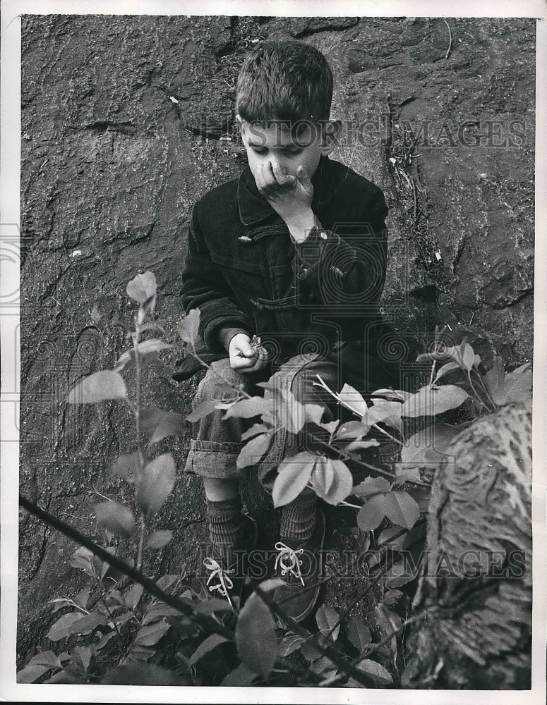 1957 Press Photo Blind Boy Enjoys Spring Flowers Central Park New York - Historic Images