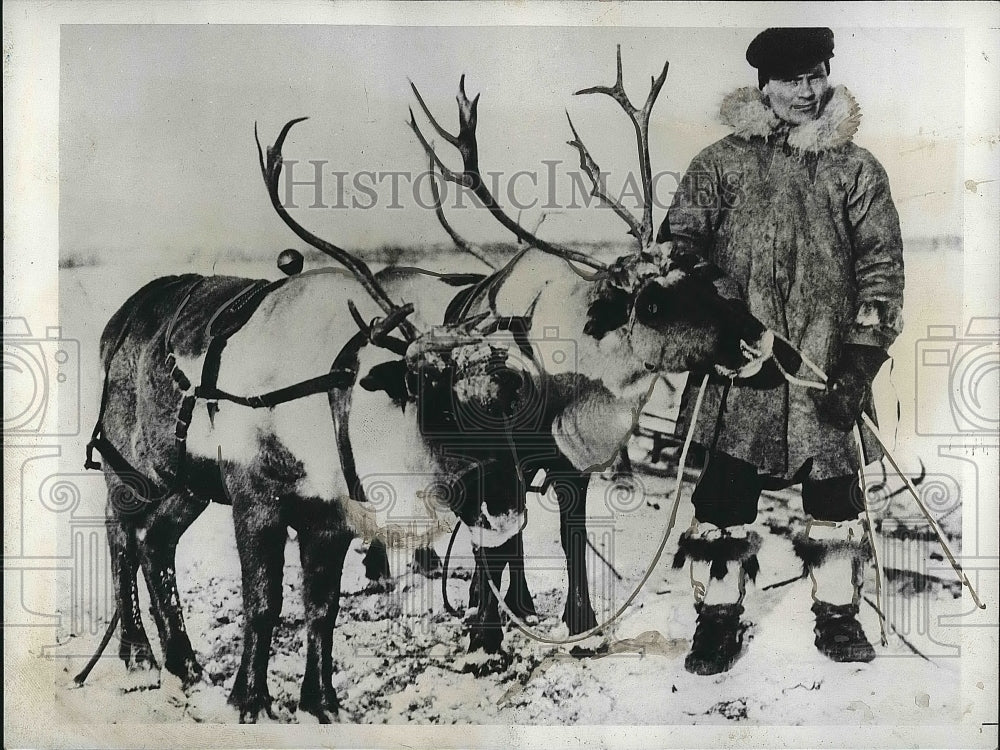 1935 Andrew Bahr With Reindeer Alaskan Herd  - Historic Images