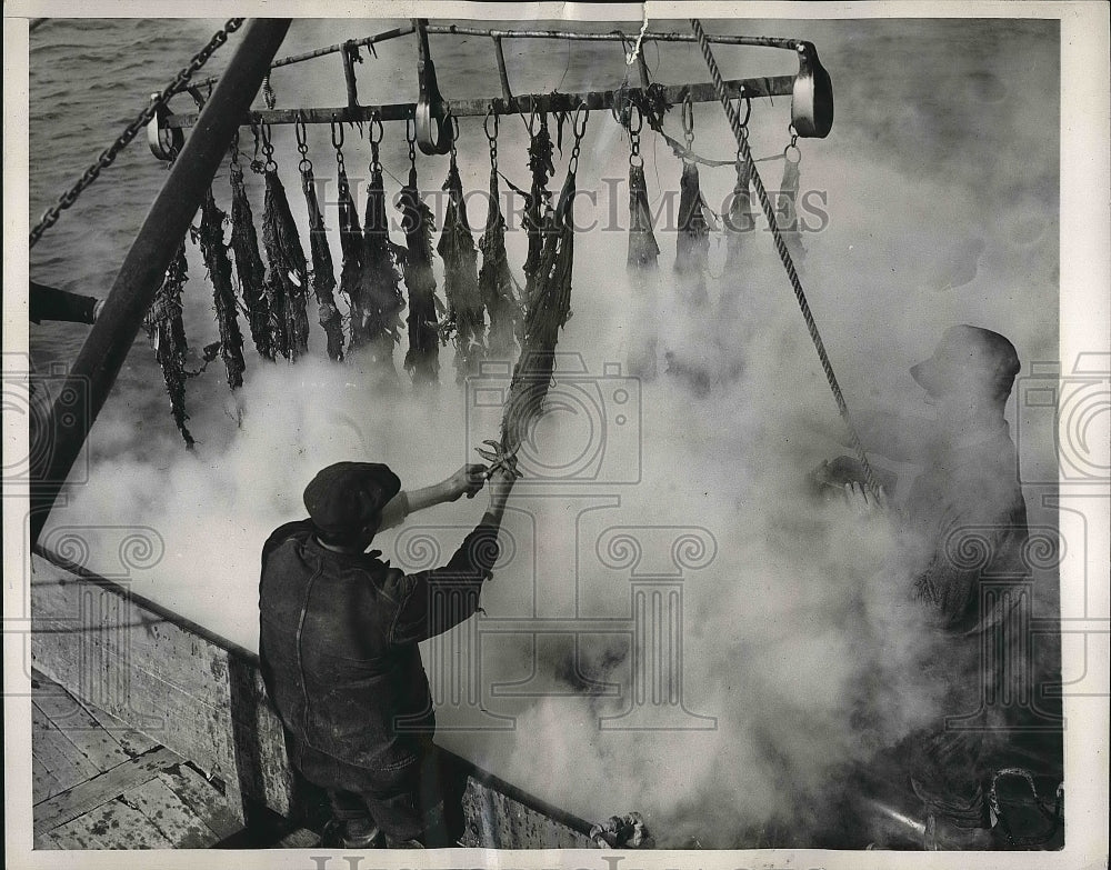 1937 Man Uses Starfish Mop To Catch And Kill Starfish  - Historic Images