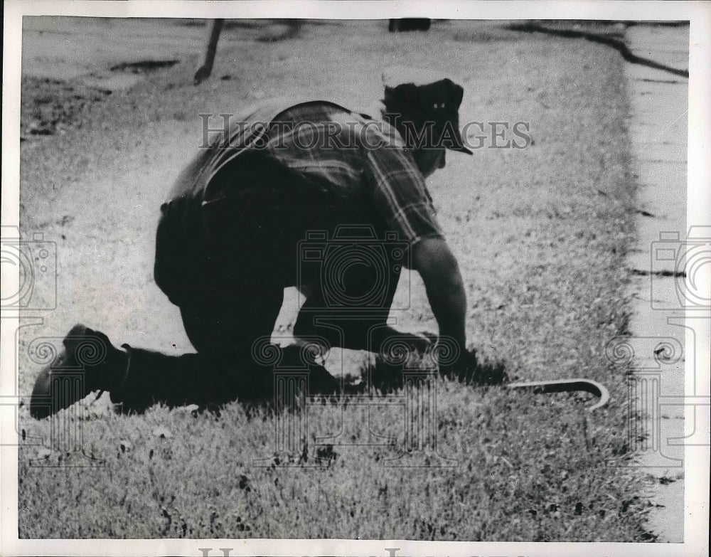 1956 Frank W. Mauerman Clips Lawn By Hand Blind  - Historic Images