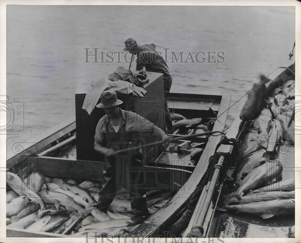 1946 Press Photo Reduced fishing crews provided billions of pounds of fish to - Historic Images