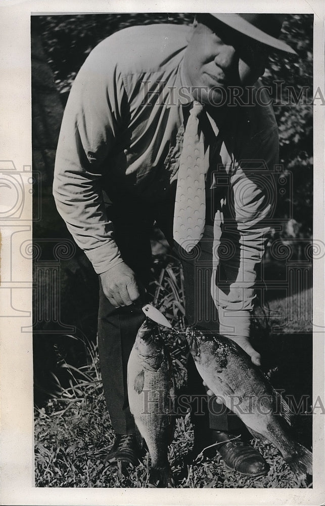 1939 Press Photo Edmore, Mich. Two big bass caught by Elmer Wood - nea78683 - Historic Images