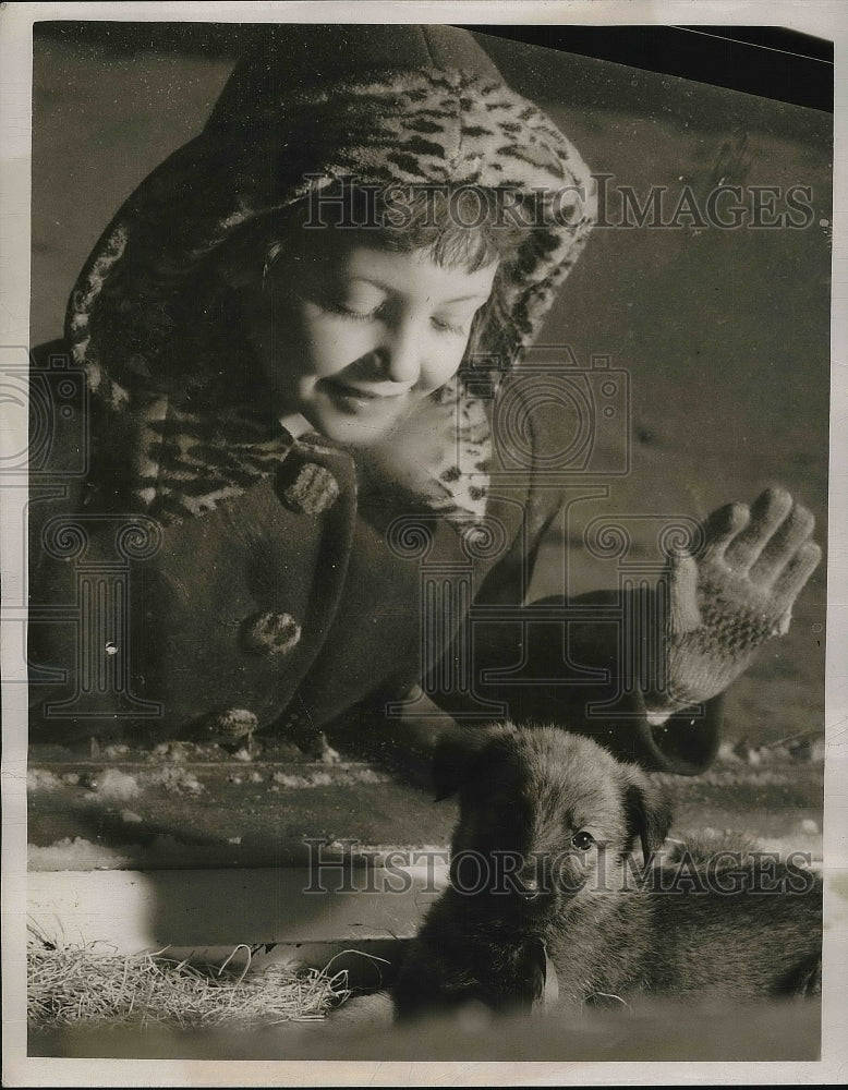 1949 Press Photo Child Dorothy Spindle Looking Puppy in the Window - nea78801 - Historic Images