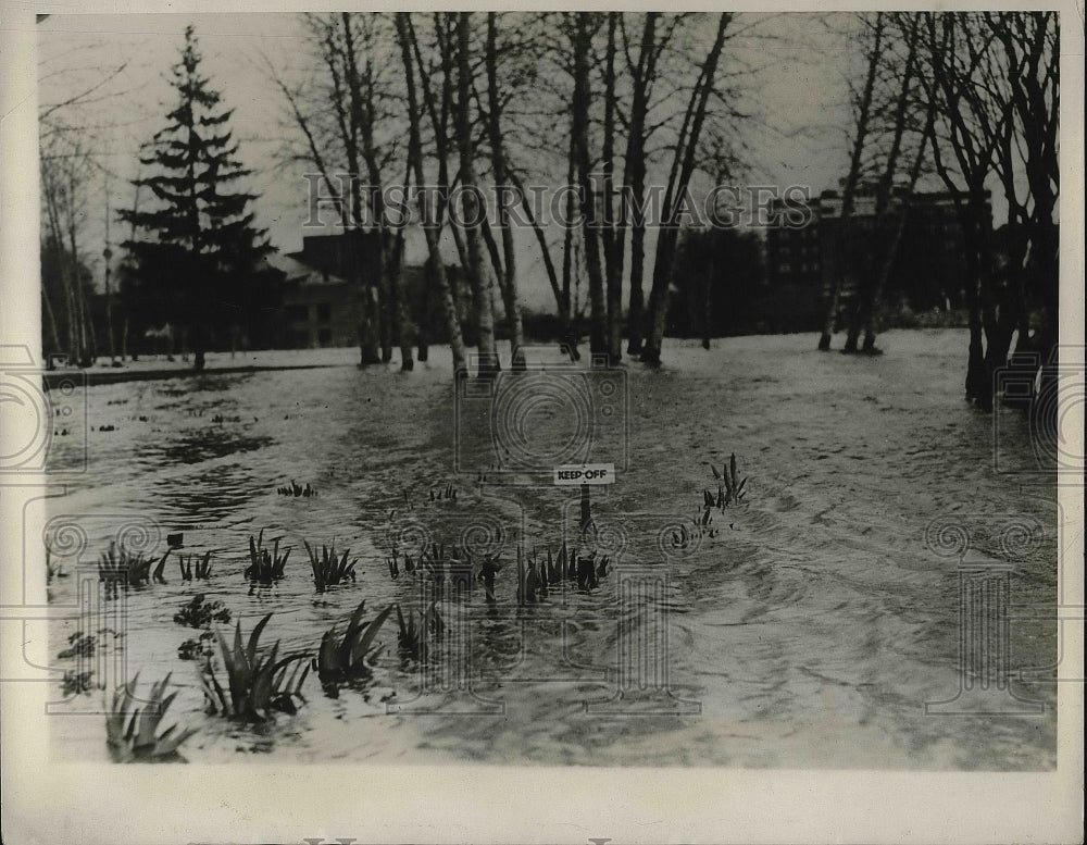 1930 &quot;Keep of the Grass&quot; Sign not necessary in Wingfield Park when - Historic Images