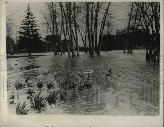 1930 "Keep of the Grass" Sign not necessary in Wingfield Park when - Historic Images