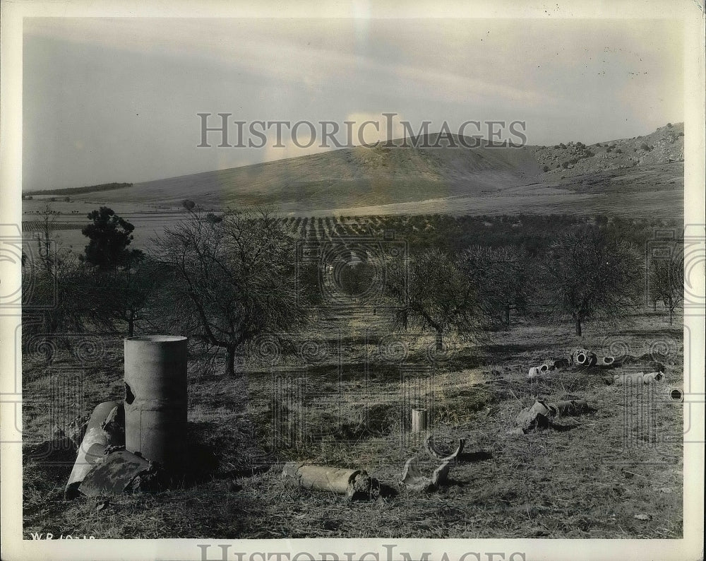 1939 San Joaquin Valley Orange Orchard After Drought  - Historic Images