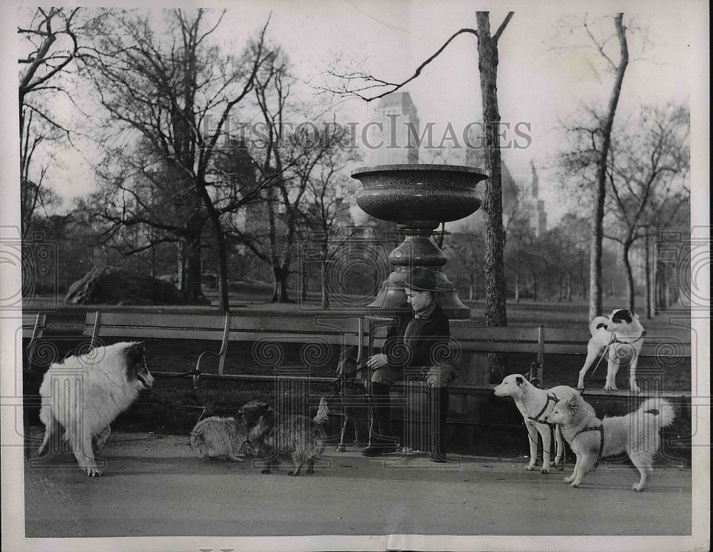 1938 Press Photo Boy Scout William Flint Watching Dogs During Easter Sunday - Historic Images