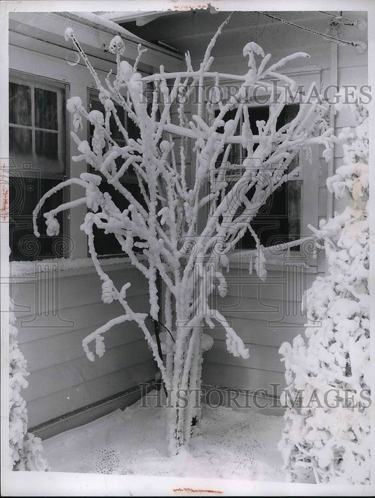 1958 Yellow Talisman at Powers Home  - Historic Images