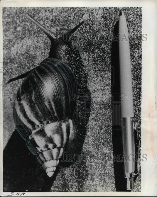 1969 All - Historic Images