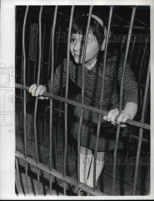 1942 Bernie Noble Child Hiding Behind Zoo Exhibit  - Historic Images