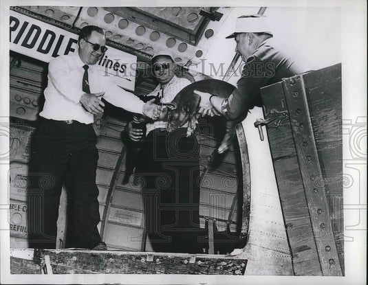 1955 Rev. R.J Birge, Rev. Harold McSwain and Rev. Philip Storey - Historic Images