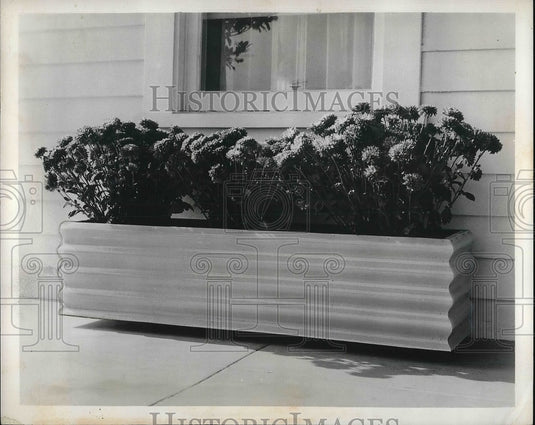 1959 Garden planter under a window  - Historic Images
