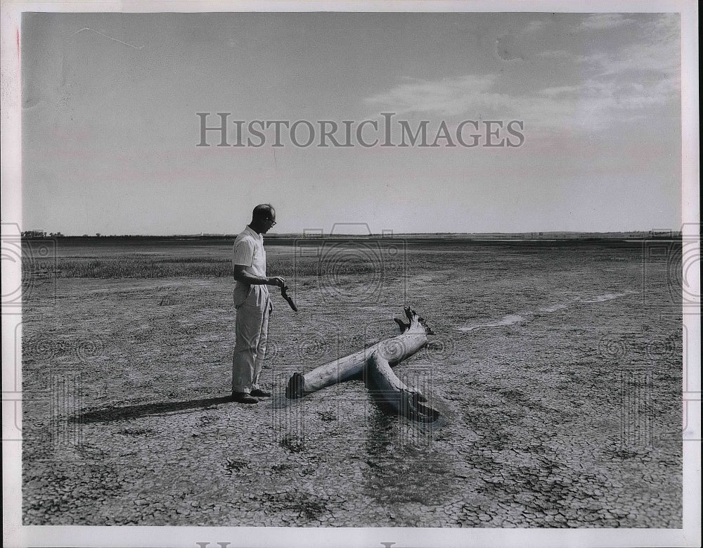 1953 Rick Bathorne looking over lake  - Historic Images