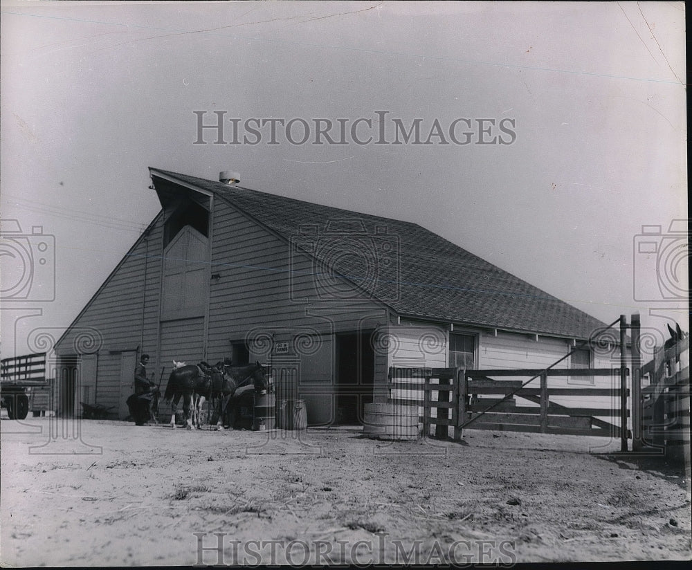 1953 Press Photo View Of Horse &amp; Farmer Outside Of Farm House - nea81665 - Historic Images