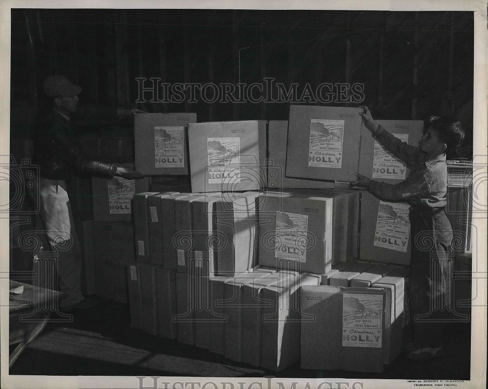1946 Press Photo Clyde McClung of Nicholas Co. Cooperative w/boxes of holly - Historic Images