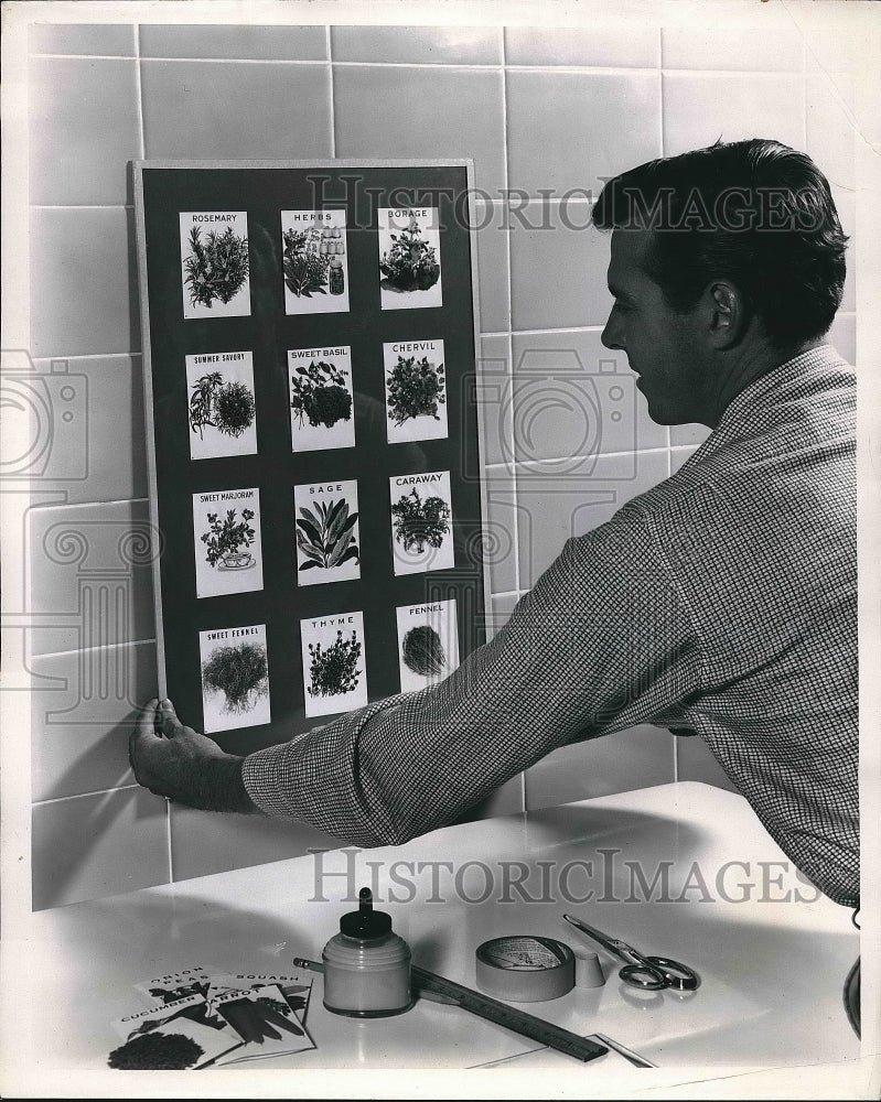 1957 Seed packs used as decor for a home kitchen  - Historic Images