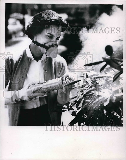 1961 Housewife Spraying Plants With Insect Duster  - Historic Images