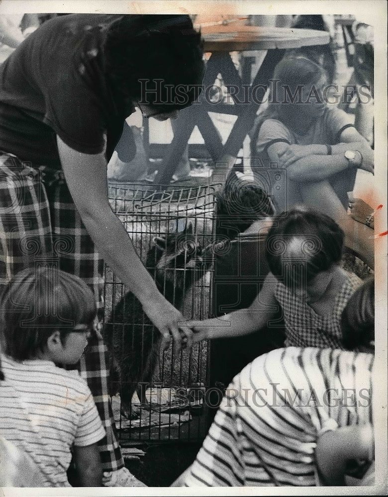 1974 Fritz Mast Orange Pet Show Raccoon In a Cage  - Historic Images