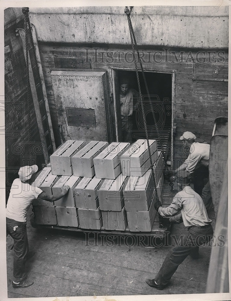 1948 Press Photo Texan Men Load Grapefruit Onto Ship Bound For Belgium-Historic Images