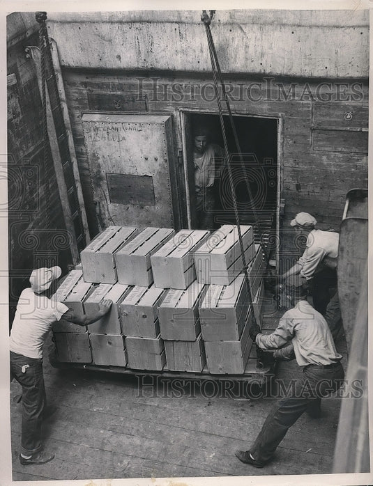 1948 Press Photo Texan Men Load Grapefruit Onto Ship Bound For Belgium-Historic Images
