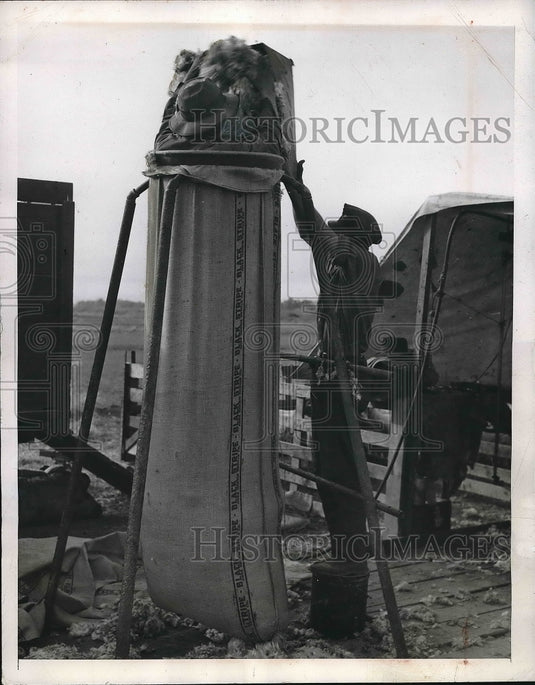 1946 Wool has been stamped into the bag, which can weigh 300 lbs - Historic Images