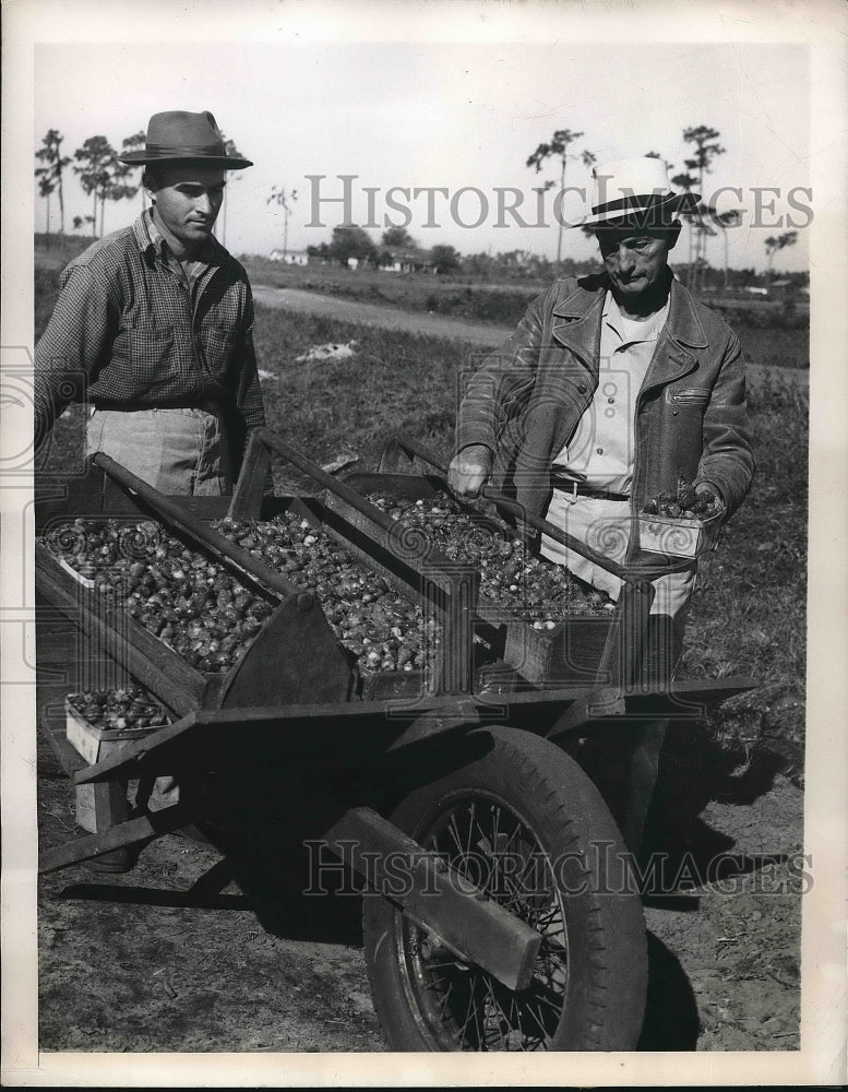 1948 Press Photo Manurel Ortiz, Ed Fennelly, carrying strawberries - nea83185 - Historic Images