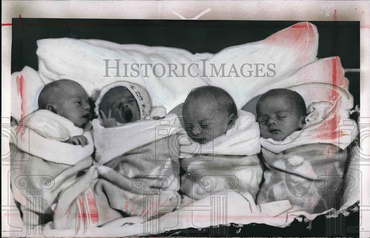 1955 Press Photo Quadruplets of Mr. & Mrs. Arthur Lucke of Bundaberg,Australia - Historic Images