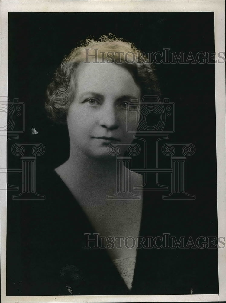 1934 Mrs. James Wole Dir. of Democratic National committee - Historic Images