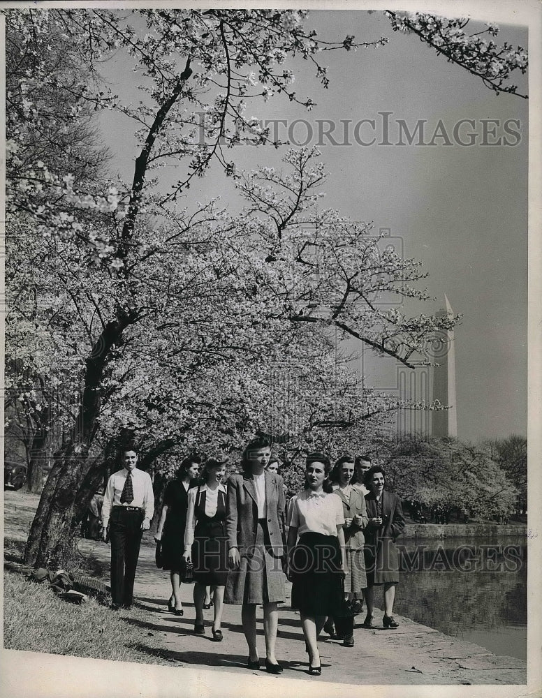 1946 Cherry blossoms tour in Washington D.C.  - Historic Images