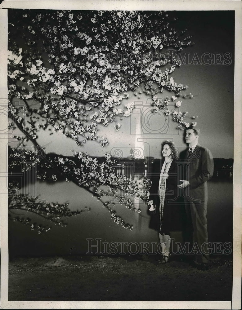 1939 Cherry blossoms near Washington memorial at D.C. Tidal Basin - Historic Images