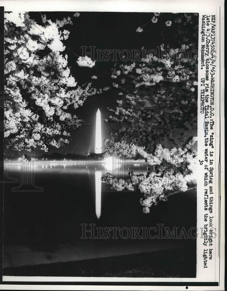 1963 Cherry blossoms at D.C. Tidal Basin, Washington Monument - Historic Images