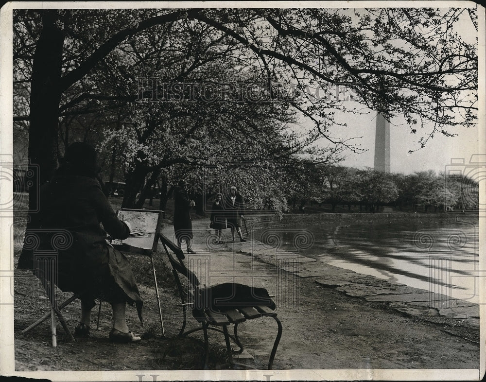 1931 Press Photo Famous Japanese Cherry Trees In Washington D.C. During Spring-Historic Images
