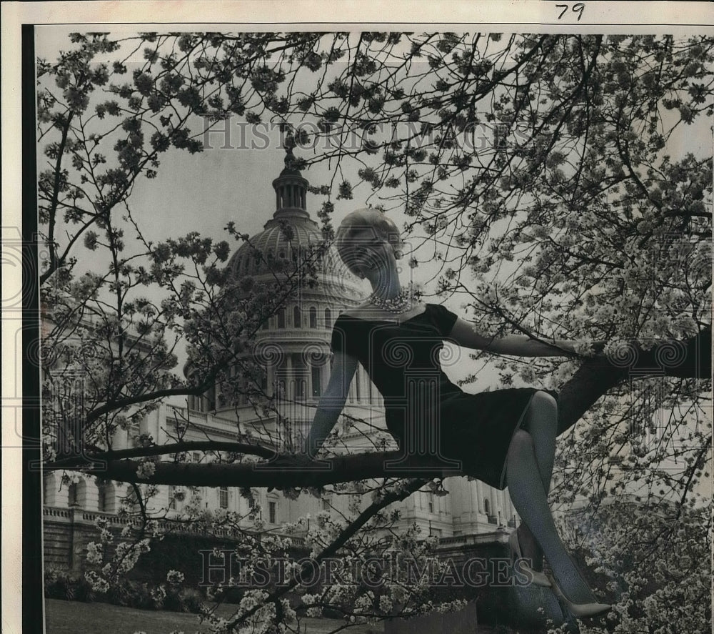 1961 Reba Wilson Secretary Of Congressional Atomic Energy Committee - Historic Images