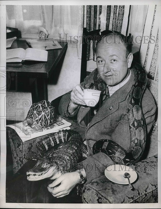 1956 George Boyce and his Boa Constrictor, gator, turtle in London - Historic Images