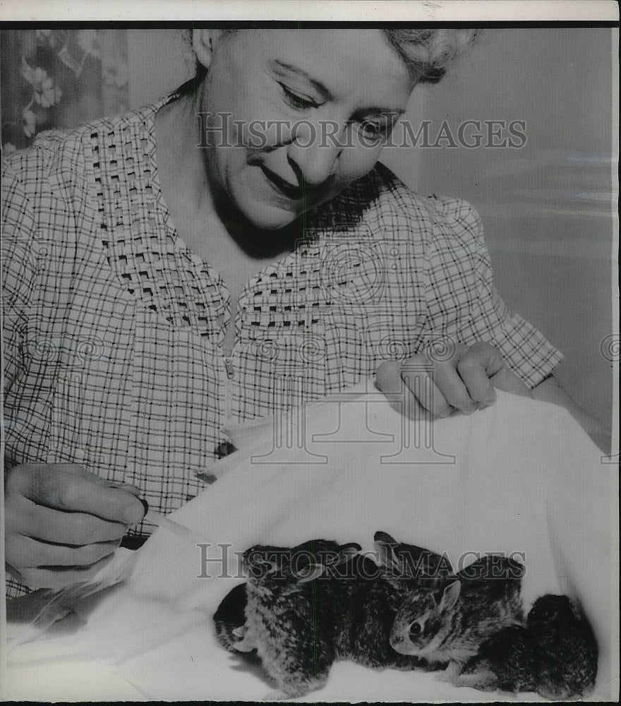 1952 Press Photo Mrs Ann Rathert with rabbits that she adopted - nea85888-Historic Images